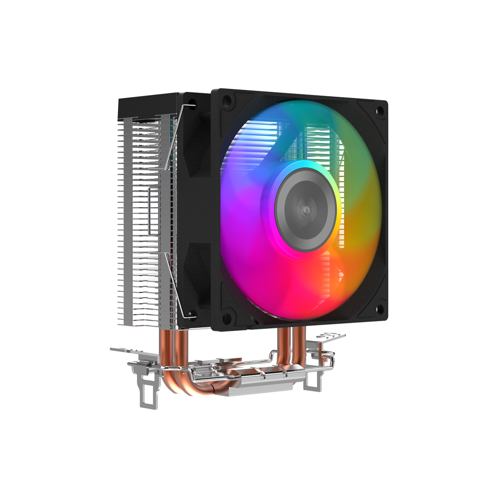 X20